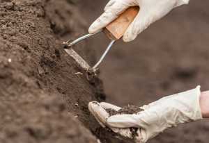 Мікроелементний склад ґрунту: спрацювати напевне