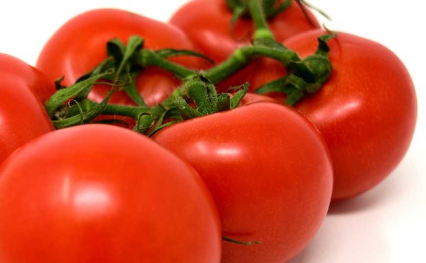 В Україні зросли ціни на томати