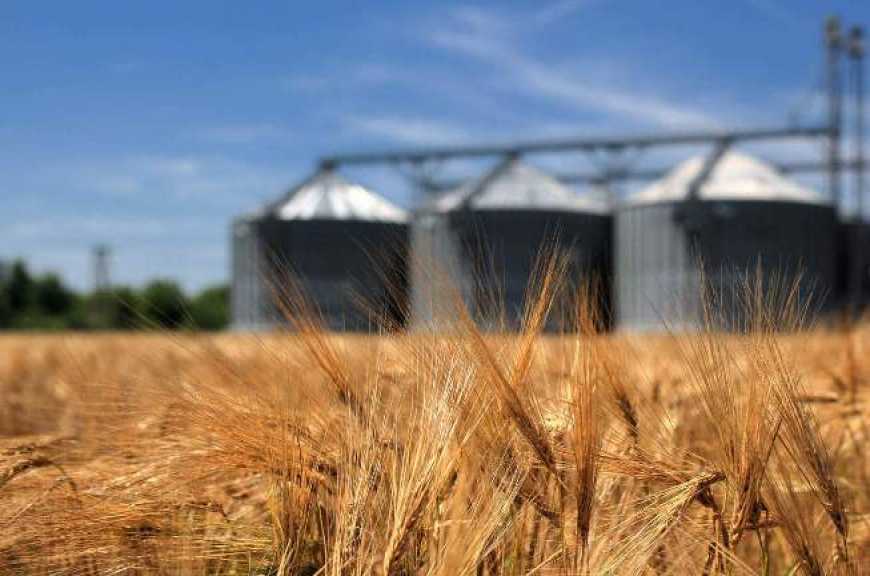 ДПЗКУ збільшить кількість елеваторів для зерна від фермерів
