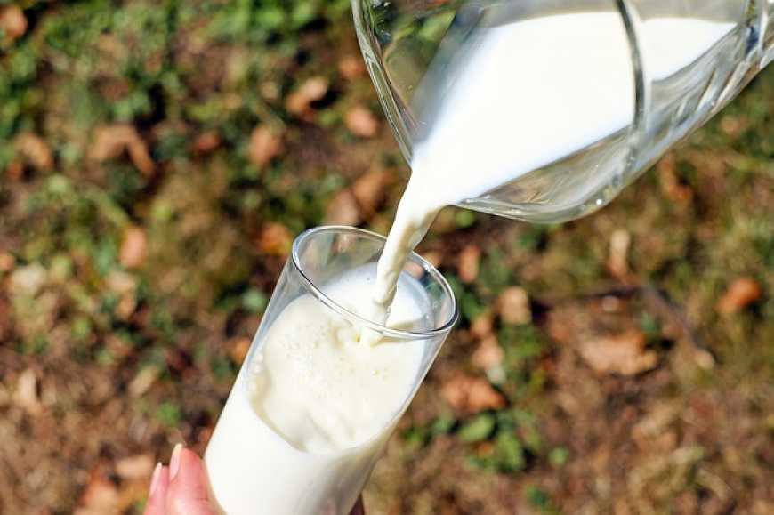 Ціни на сировинне молоко під тиском переробників, – АВМ