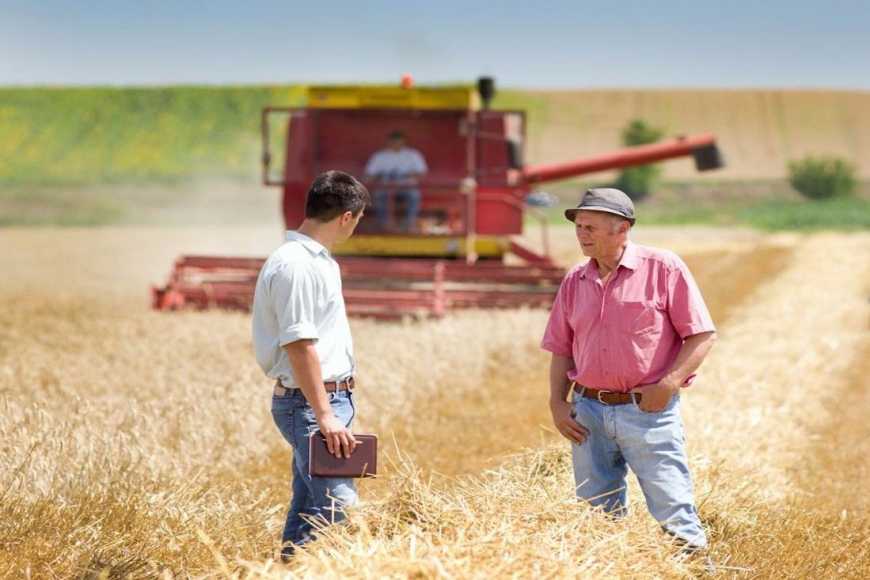 Торік виробництво сільгосппродукції в Україні зросло майже на 8%