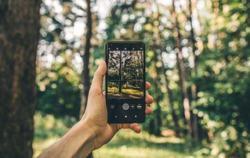 «Ліс у смартфоні» вже працює в 16 областях