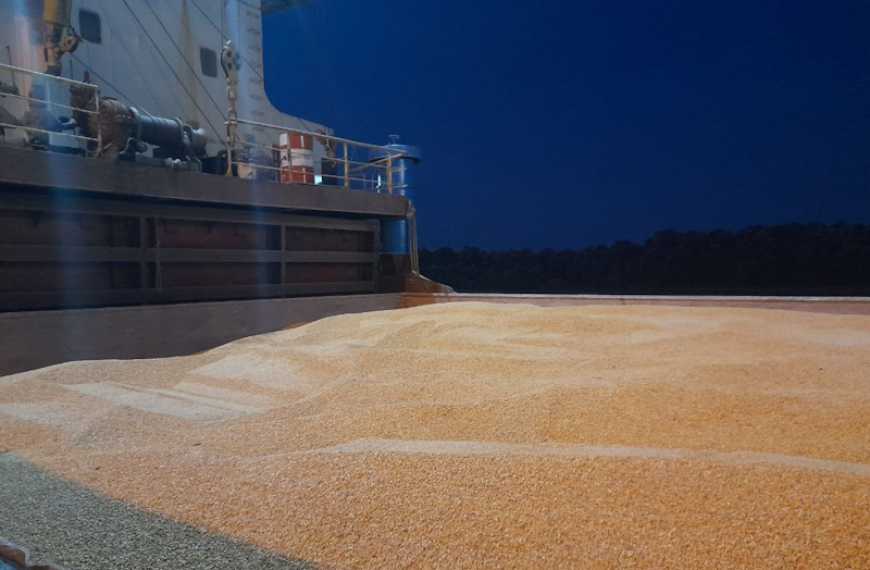 Група АГРОТРЕЙД торік експортувала зерно у 13 країн світу