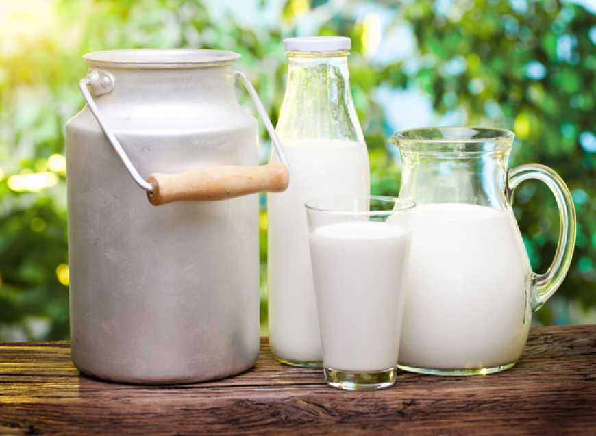 Експорт українського молока та вершків зріс – УАК