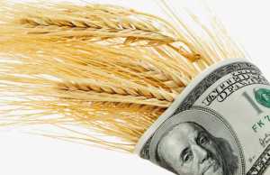 Валютний контроль: як не знищити аграрний експорт