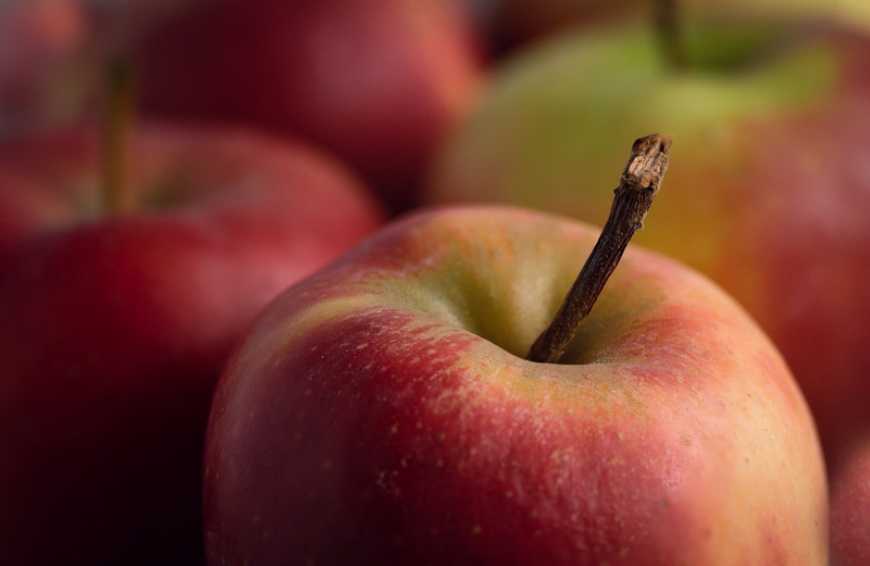 ФГ «Гадз» почало експортувати яблука до Великобританії