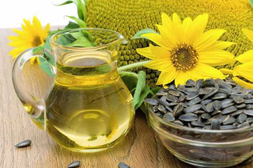 Виробництво соняшникової олії в Україні зросте на 6% - USDA
