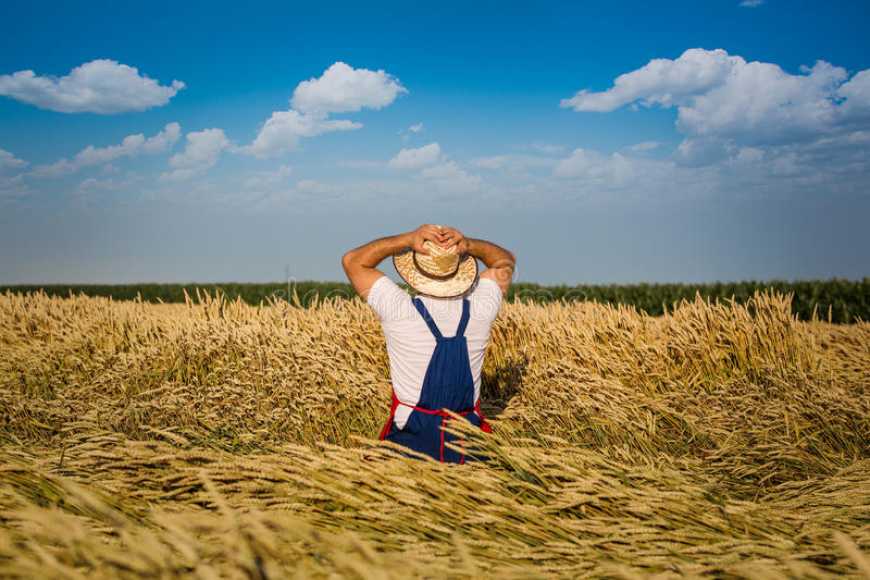 За 7 років кількість фермерів в Україні зменшилася на 10 тисяч