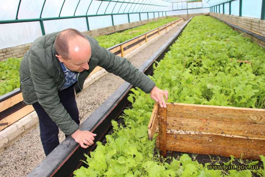 На Вінниччині відкрили сімейну ферму з вирощування равликів