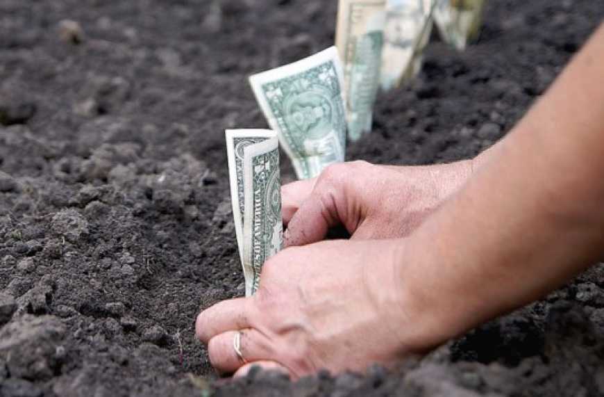 Українські фермери залучили понад $1 млрд за аграрними розписками