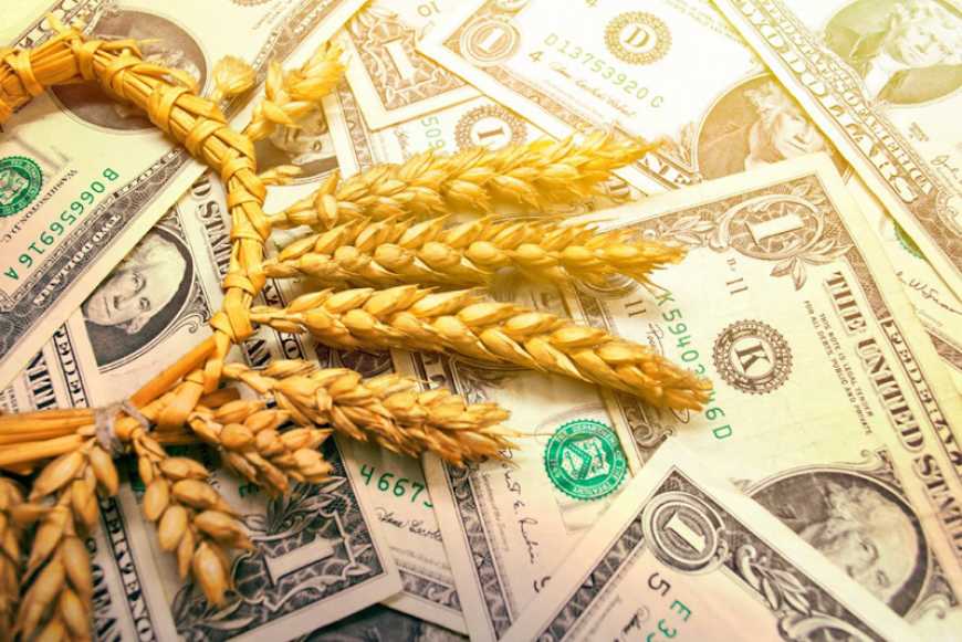 З початку листопада Україна експортувала майже 4 млн тонн зерна