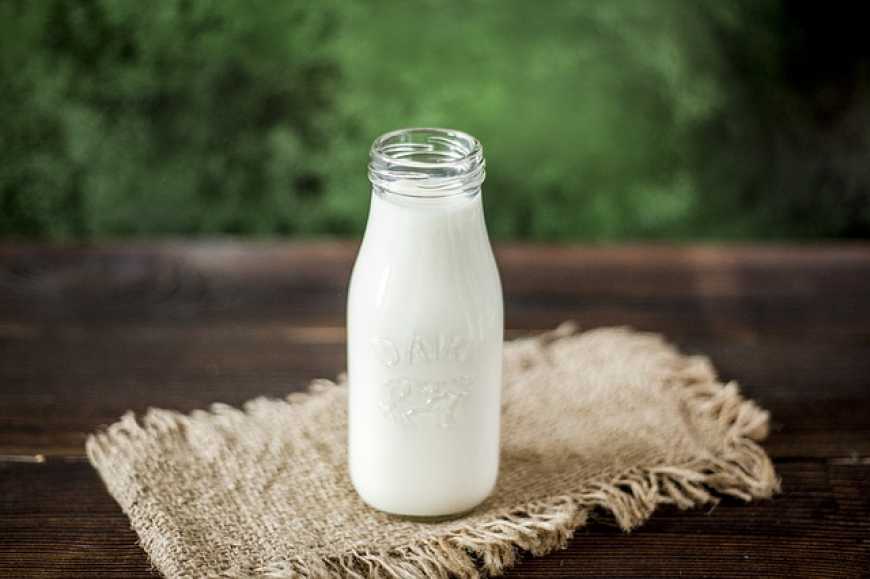 Українські переробники планують закуповувати молоко в Польщі