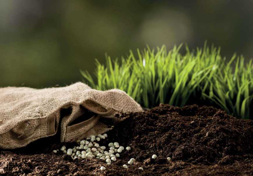 Аграрії забезпечені міндобривами для весняно-польових робіт – Мінагрополітики