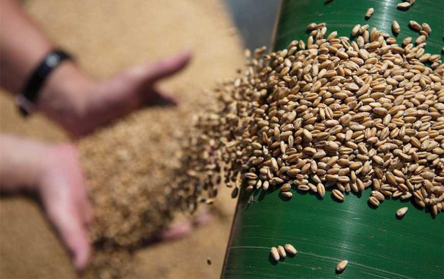 Експорт зерна: Україна зможе вивозити до 3 млн тонн щомісяця