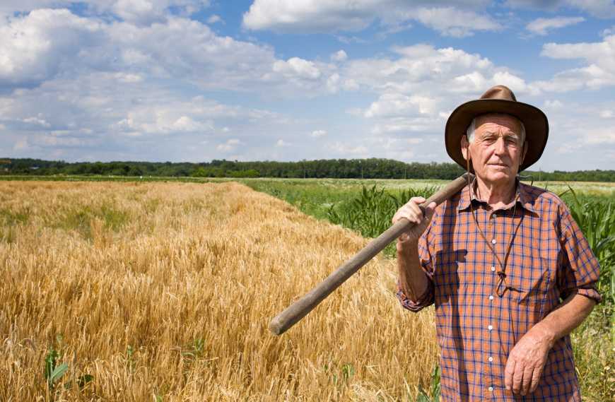 Як фермери купуватимуть землю?