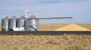 Зернові сепаратори: контроль на лінії