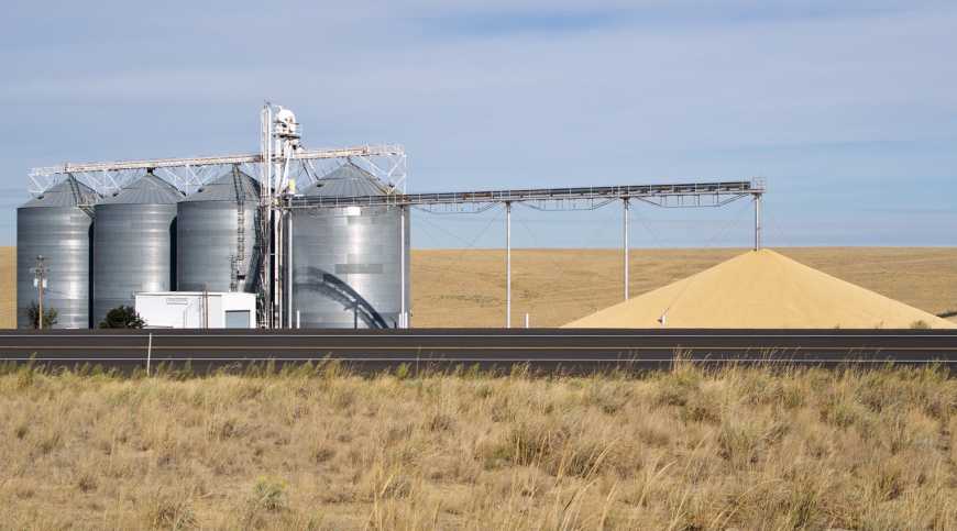 Зернові сепаратори: контроль на лінії