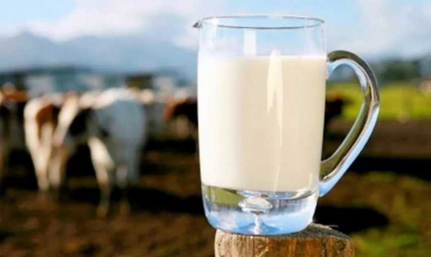В Україні продовжує скорочуватися виробництво молока