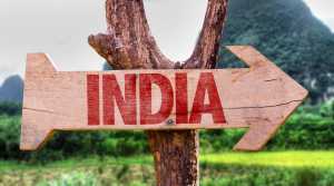 Ціни на горох: як впливає Індія?