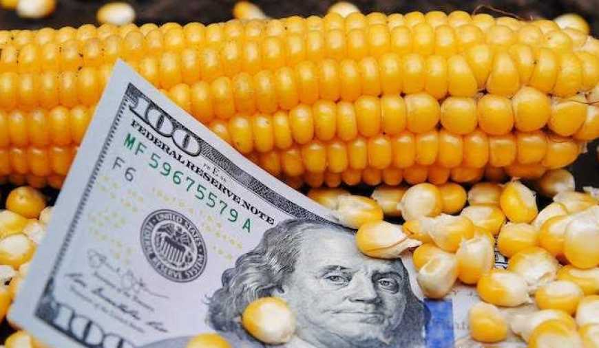 Україна експортувала понад 18 млн тонн кукурудзи