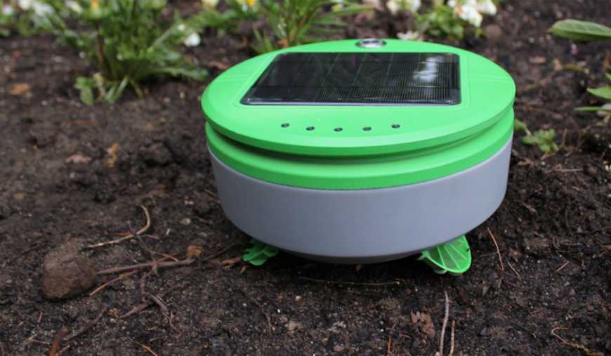 Робототехніка: «Черепаха» прополює сад
