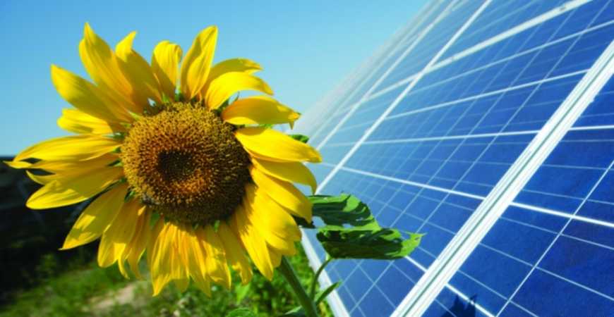 Громада на Сумщині запустила першу в області сонячну електростанцію