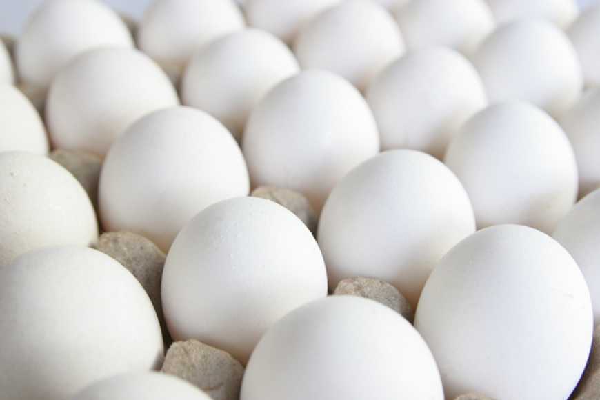 Виробництво яєць в Україні зменшилося майже на 14%