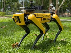 Робот-пес для випасу овець та патрулювання полів
