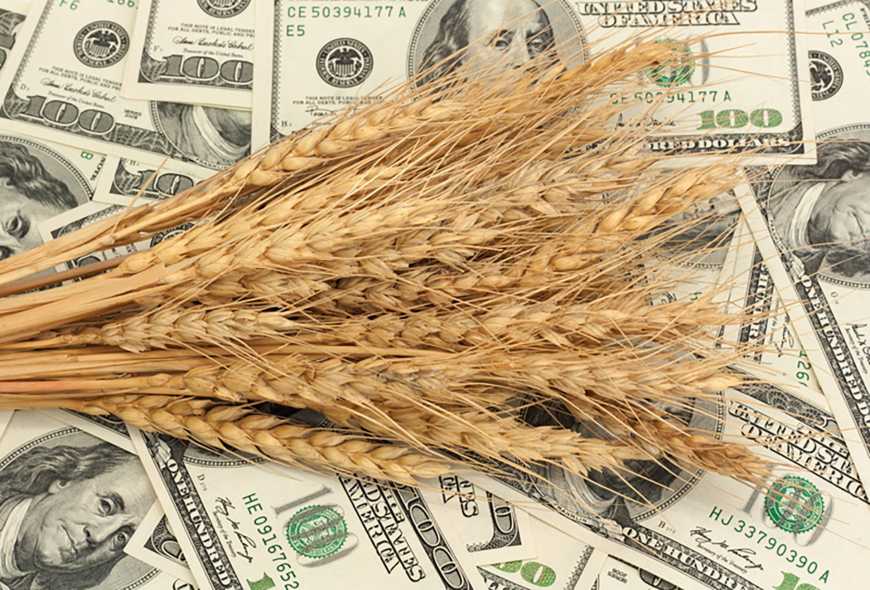У 2018-му Україна експортувала зерна на 4 мільярди доларів