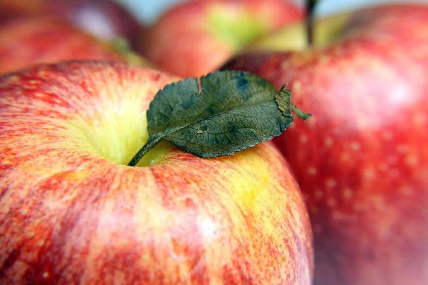 Україна вийшла на рекордні показники з експорту яблука