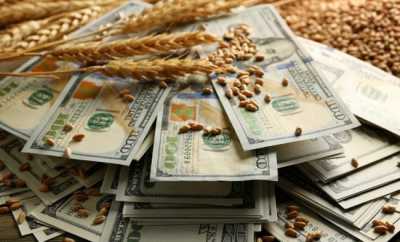 У Чорноморському регіоні ростуть ціни на зернові і олійні
