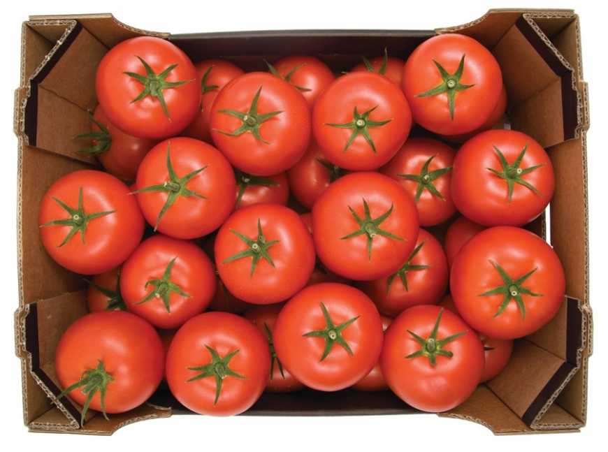 Україна б&#039;є рекорди імпорту тепличних помідорів