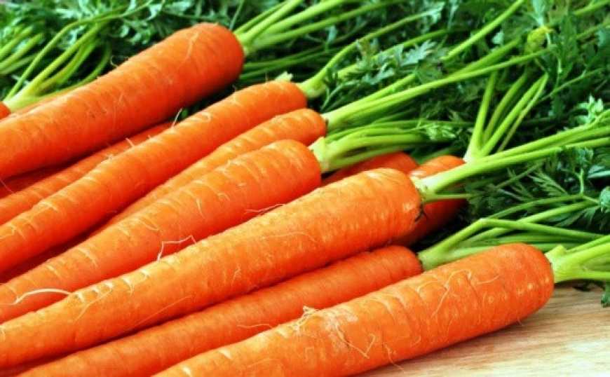 Морква, яйця та сало за рік подорожчали найбільше