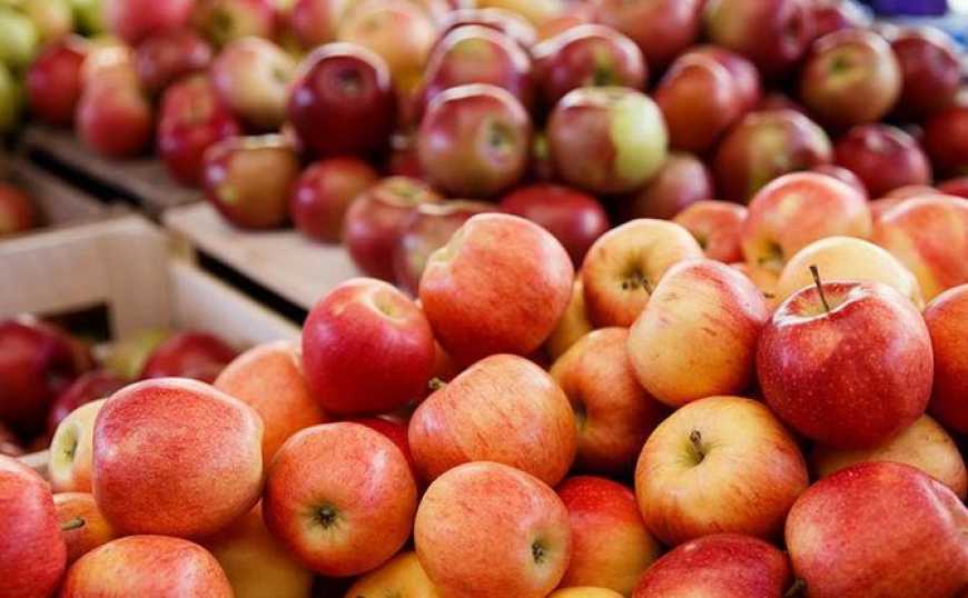 Україна переходить на нові ринки в експорті яблук