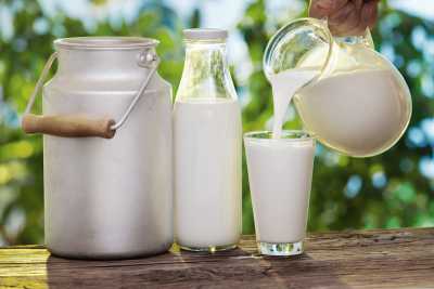 Прибутковість виробництва молока першого ґатунку знизилася на 30% у вересні, – ФАО