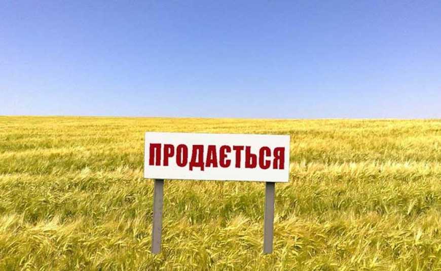 Ринок землі: в яких регіонах України найбільш популярні земельні ділянки