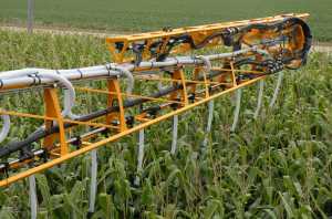 Економічні переваги точного землеробства у вирощуванні кукурудзи