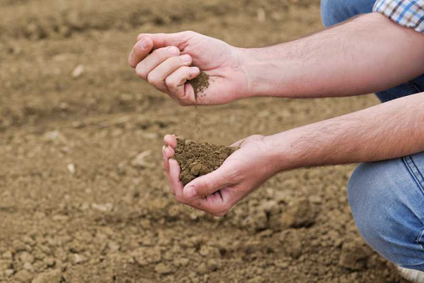 Як підвищити ефективність інвестицій в агрохімічний аналіз ґрунту