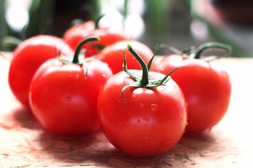 В Україні значно подешевшали томати