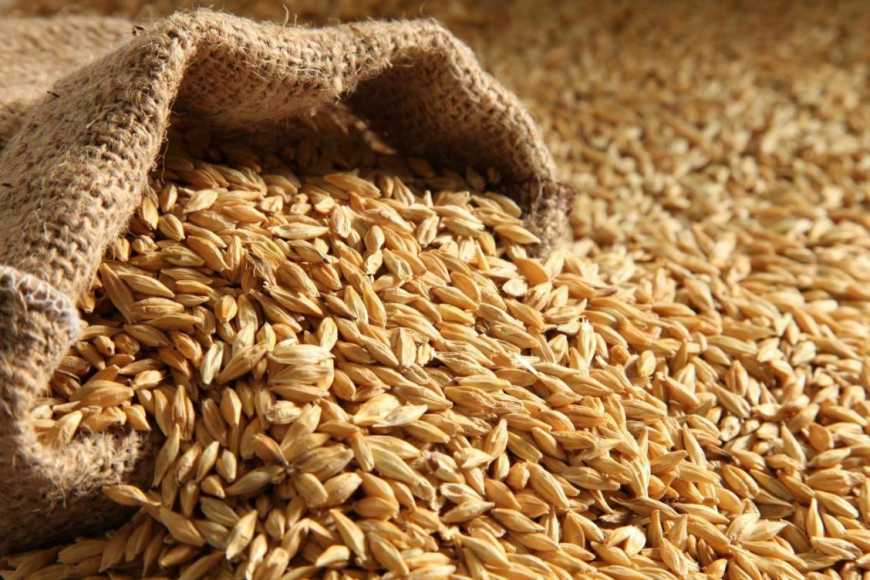 Україна з початку сезону експортувала 5,6 млн тонн зерна