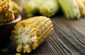 Вирощування кукурудзи в Україні. Яка перспектива?