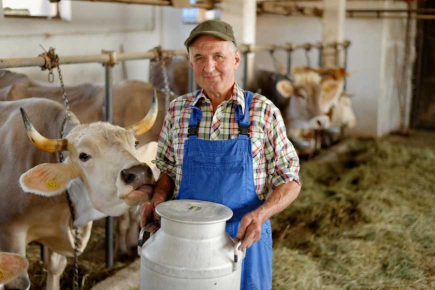 В Україні збільшилася кількість сімейних молочних ферм