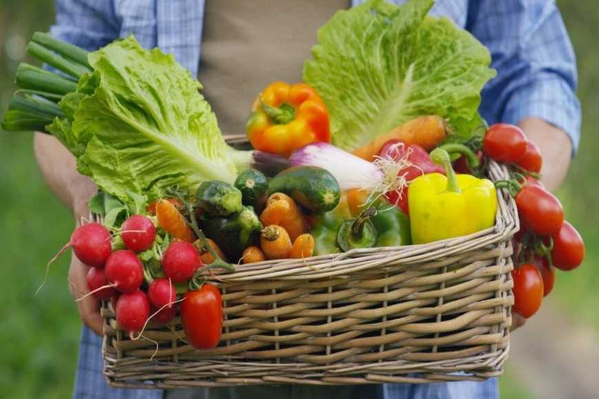 Через окупацію півдня України виробництво овочів скоротиться на 30-50%