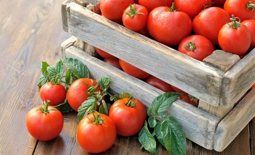 В Україні продовжують знижуватися ціни на томати