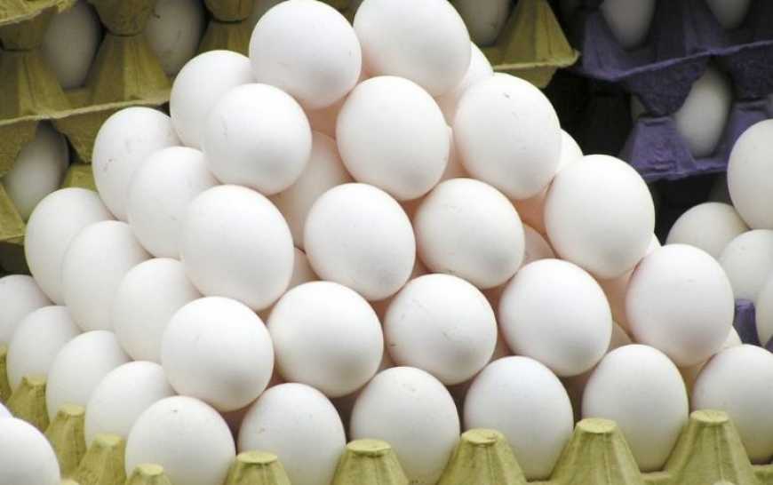 В Україні у 2017 році вироблено 15,6 млрд шт. яєць