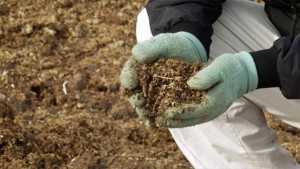 Безпечні добрива для покращення якості ґрунтів