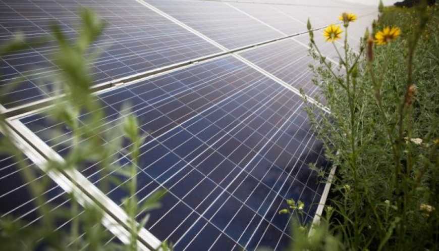 У зоні ЧАЕС побудують сонячну електростанцію потужністю 1,2 МВт