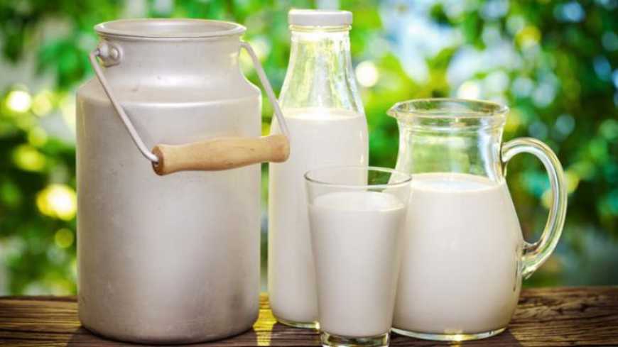 Ситуація на внутрішньому ринку сприятиме розвитку дрібних і середніх переробників молока