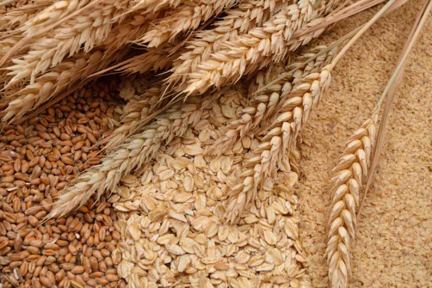 Глибока переробка зернових культур: вигідна альтернатива