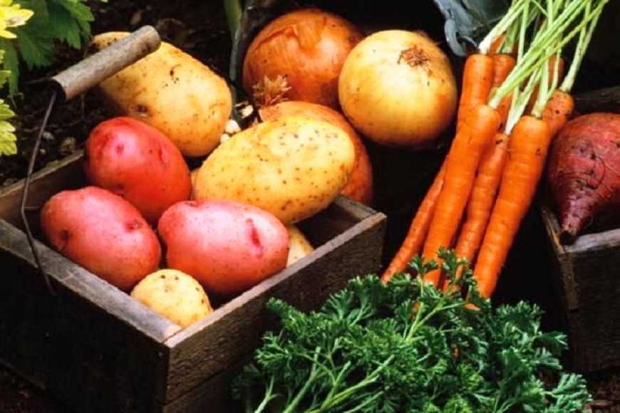 В Україні знову дорожчає картопля та цибуля